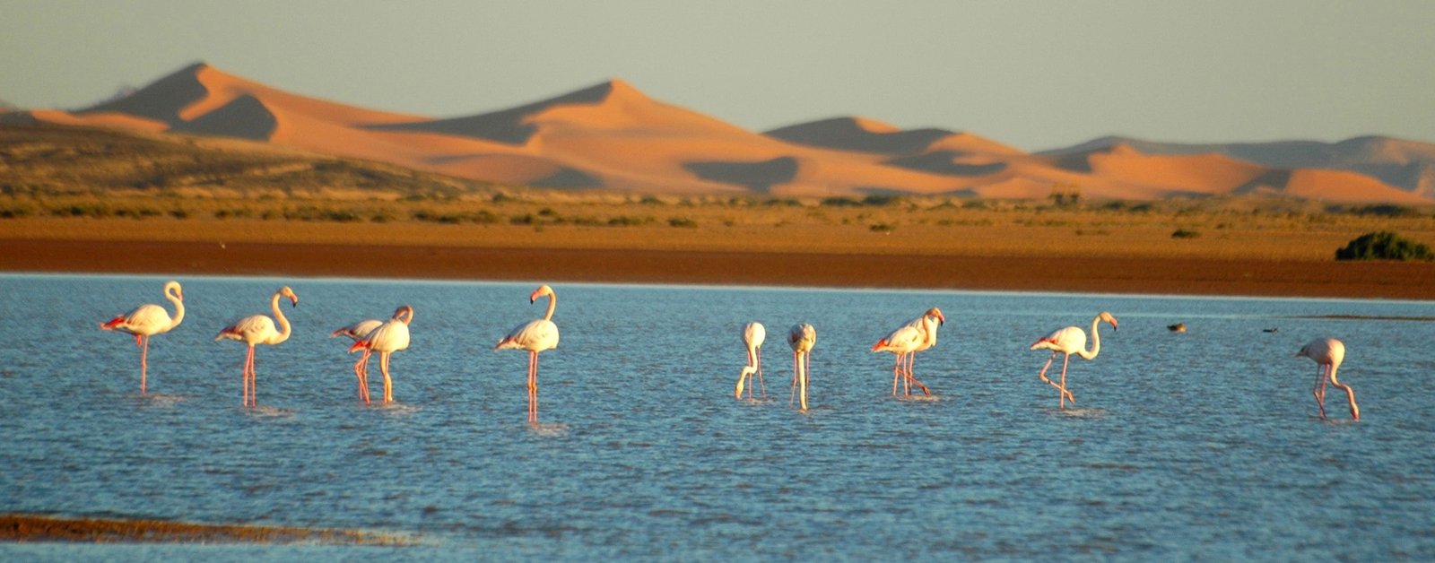 Tour en 4x4 de medio día en Merzouga por el desierto de Erg Chebbi
