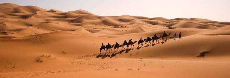 Camel trekking in Merzouga