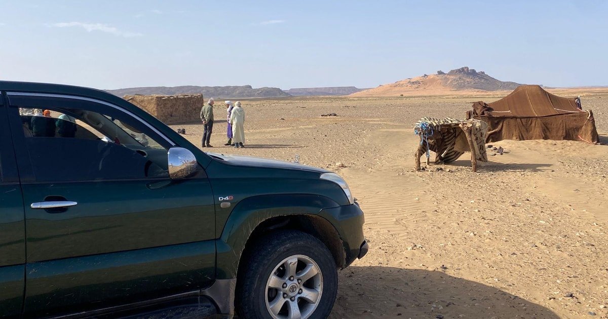 Fossil hunting jeep tour in Merzouga