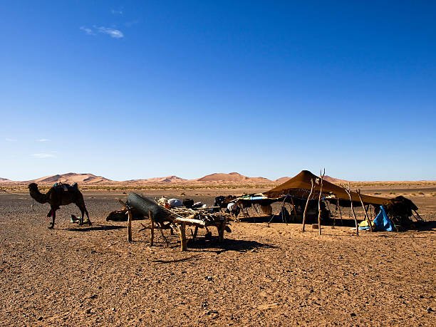 2 days hiking in Merzouga: a Berber tent in the desert with a dromedary camel