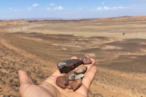 2 days fossil tour in Merzouga: stop in the desert