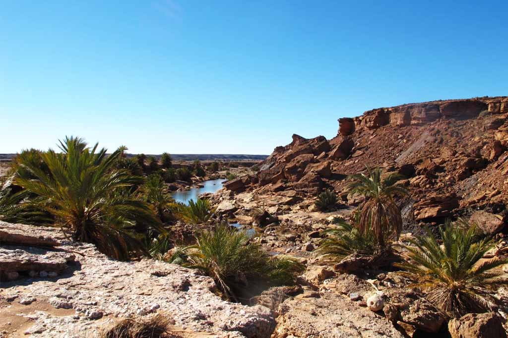 Day trip from Merzouga to Saf Saf oasis