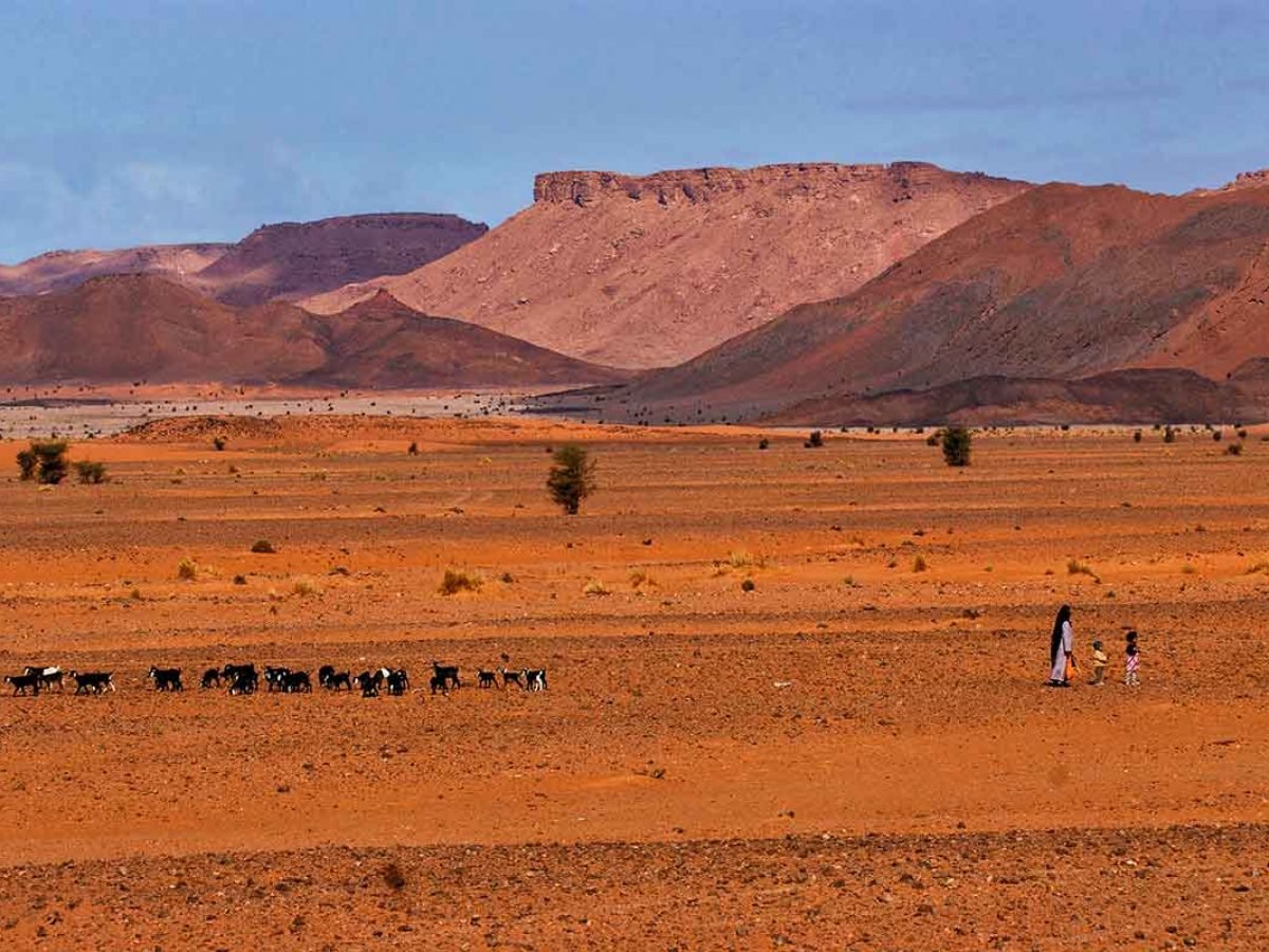 2 days jeep tour with a night in Ouzina desert