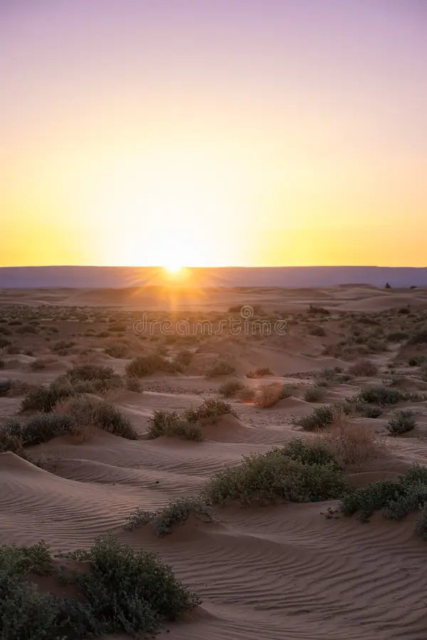 Merzouga sunrise over the dunes in the Sahara desert