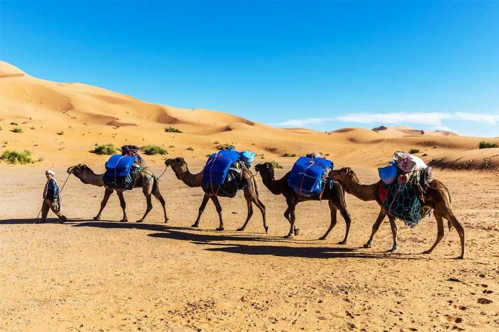 2 days hiking in Merzouga: overnight camp in the desert
