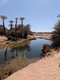 Saf Saf oasis Merzouga jeep tour: travellers at the oasis