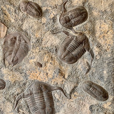 2 days fossil tour in Merzouga: stop on the way